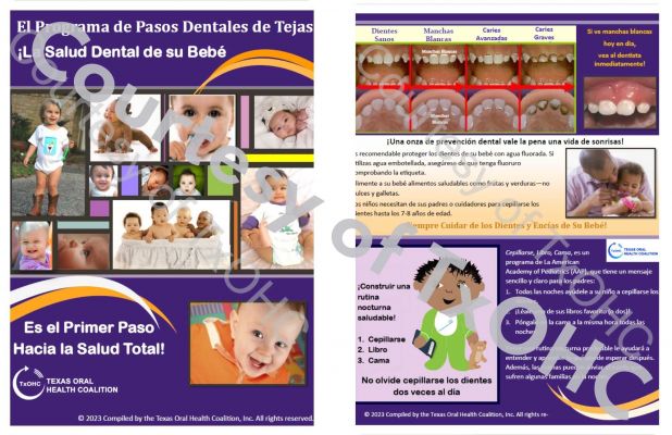 TTS Brochure Spanish
