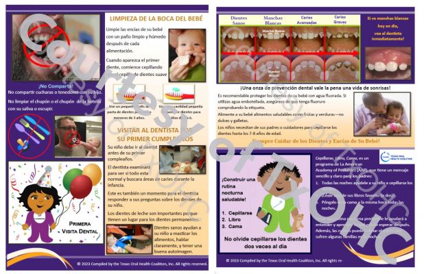 TTS Brochure Spanish